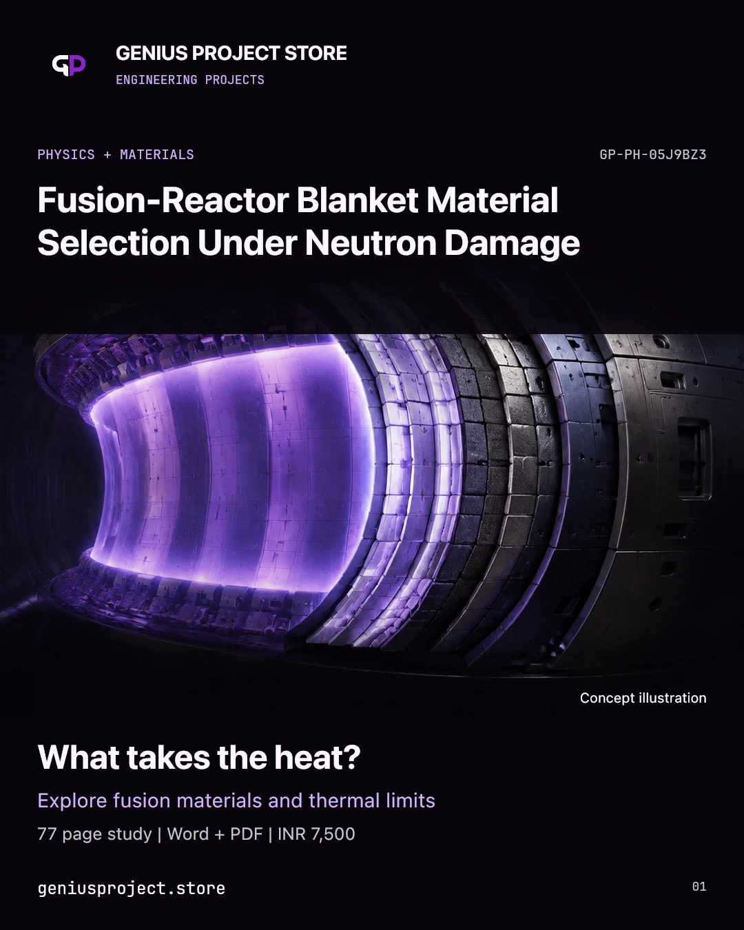 Fusion-Reactor Blanket Material Selection Under Neutron Damage project visual